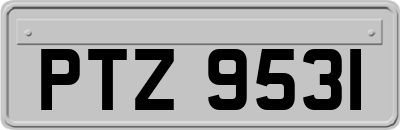 PTZ9531