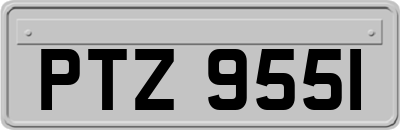 PTZ9551