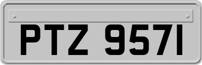 PTZ9571