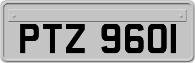 PTZ9601