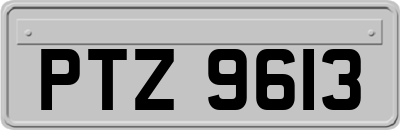 PTZ9613