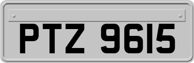 PTZ9615