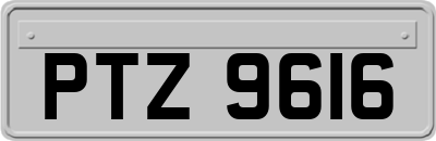 PTZ9616