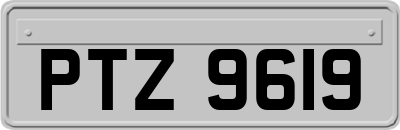 PTZ9619