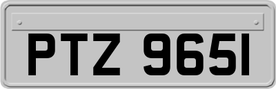 PTZ9651