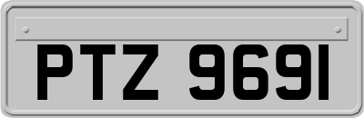 PTZ9691