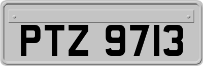 PTZ9713