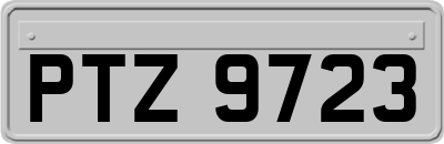 PTZ9723