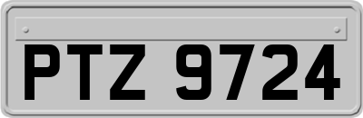 PTZ9724