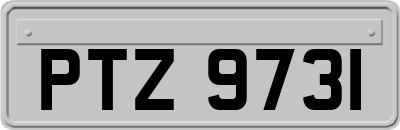 PTZ9731