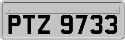 PTZ9733