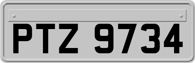 PTZ9734