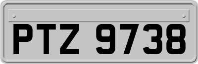 PTZ9738