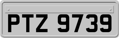 PTZ9739