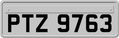 PTZ9763