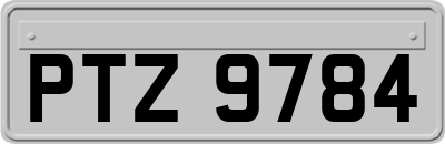 PTZ9784