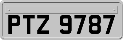 PTZ9787