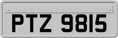 PTZ9815