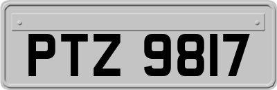 PTZ9817