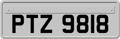 PTZ9818