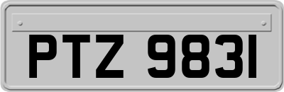 PTZ9831