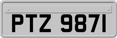 PTZ9871