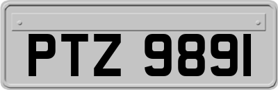 PTZ9891