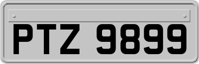 PTZ9899