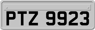 PTZ9923