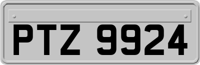 PTZ9924