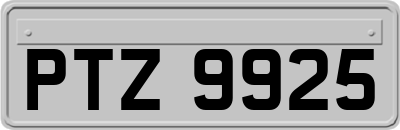 PTZ9925