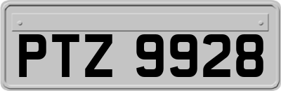 PTZ9928