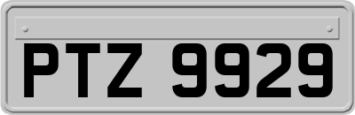 PTZ9929