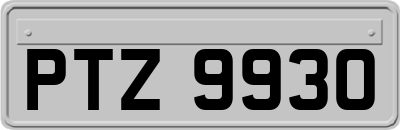 PTZ9930