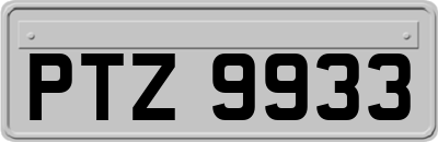 PTZ9933