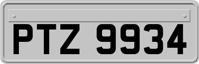 PTZ9934