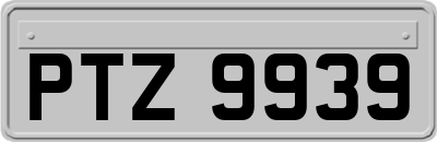 PTZ9939