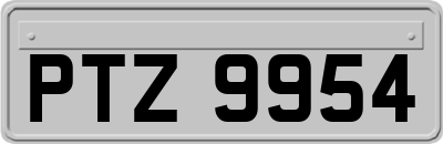 PTZ9954