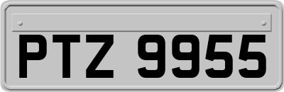 PTZ9955