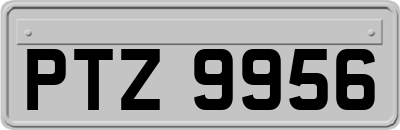 PTZ9956