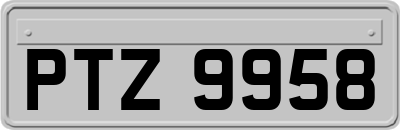 PTZ9958