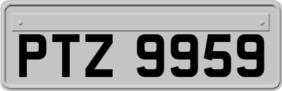 PTZ9959