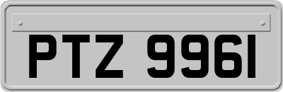 PTZ9961