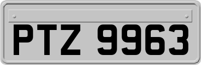 PTZ9963