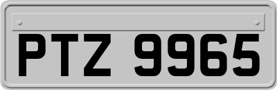 PTZ9965