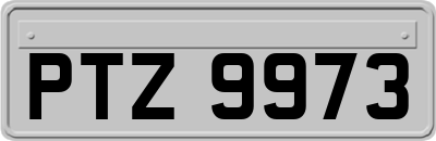 PTZ9973