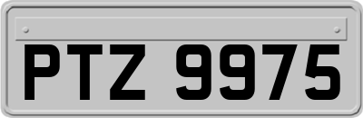 PTZ9975