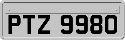 PTZ9980