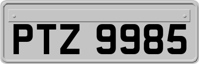 PTZ9985