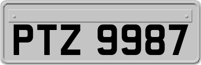 PTZ9987